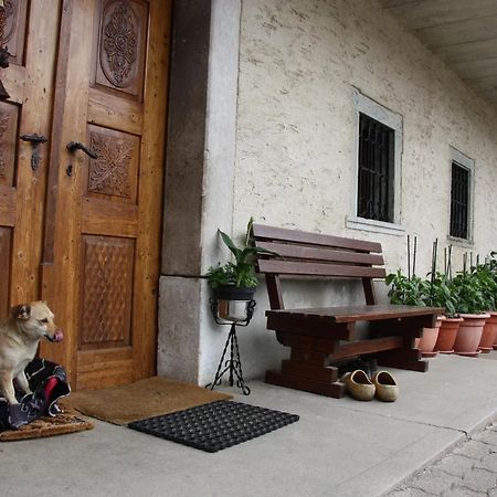 Family Apartment On Repecnik Farm In Gorje, Bled ゴレンスカ地方 エクステリア 写真