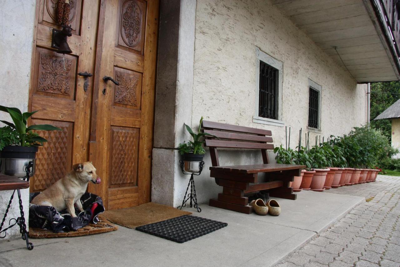 Family Apartment On Repecnik Farm In Gorje, Bled ゴレンスカ地方 エクステリア 写真