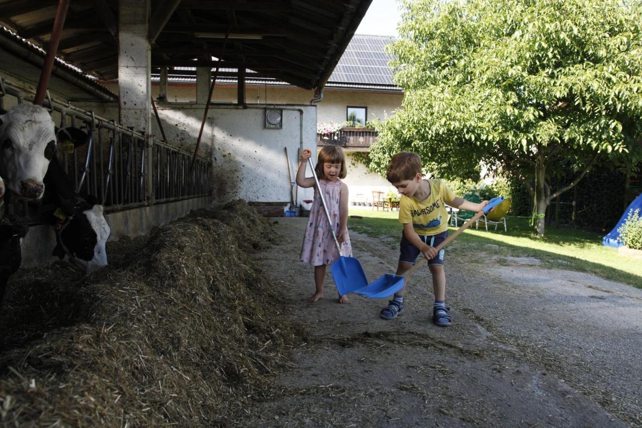 Family Apartment On Repecnik Farm In Gorje, Bled ゴレンスカ地方 エクステリア 写真