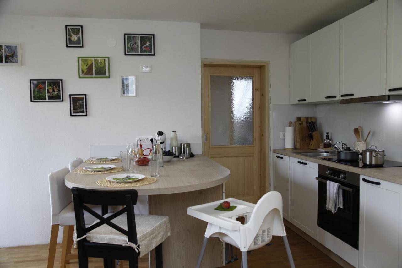 Family Apartment On Repecnik Farm In Gorje, Bled ゴレンスカ地方 エクステリア 写真
