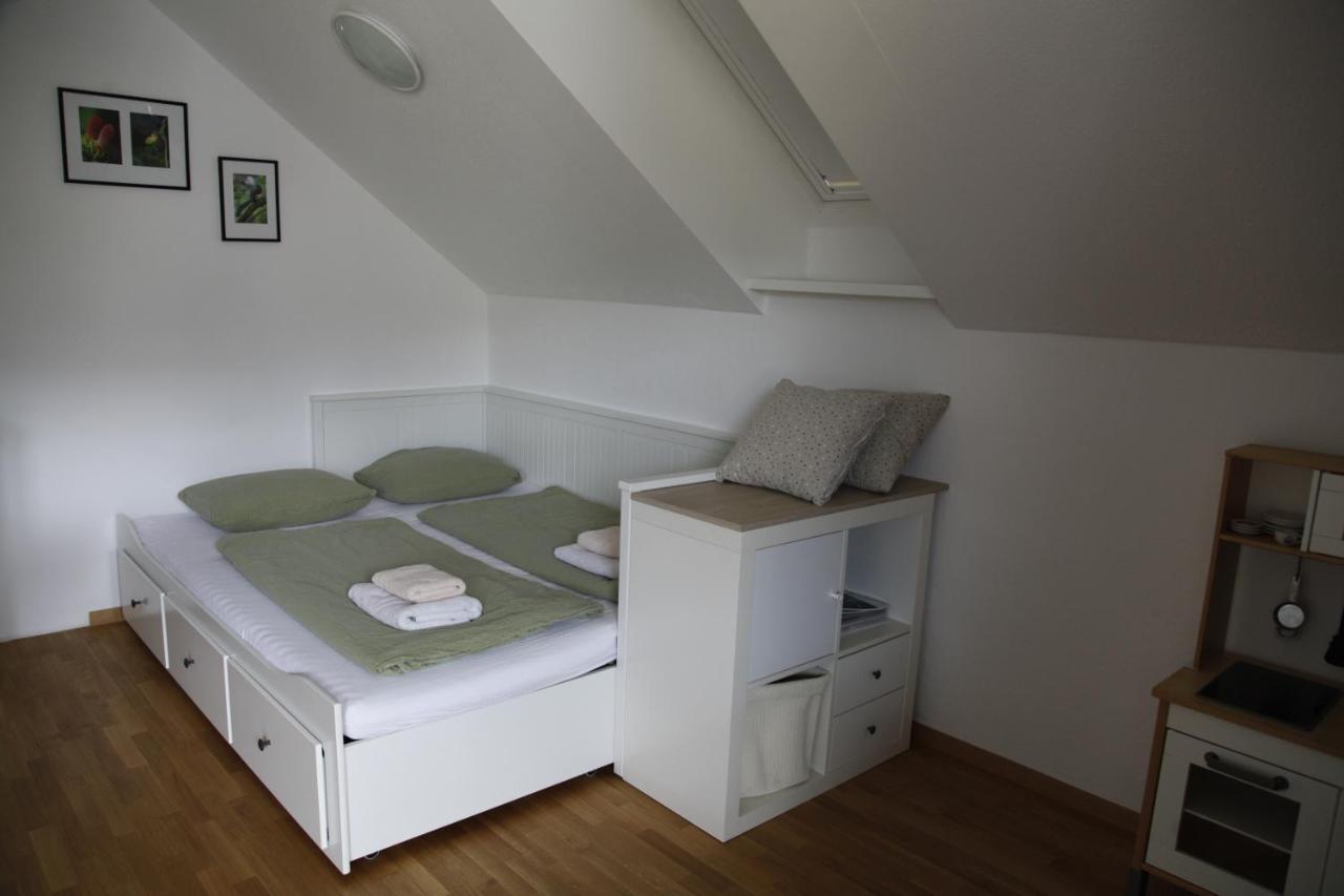 Family Apartment On Repecnik Farm In Gorje, Bled ゴレンスカ地方 エクステリア 写真